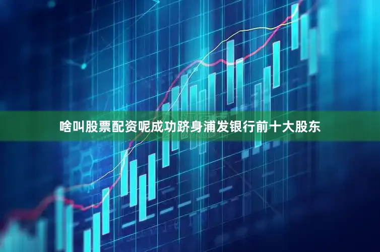 啥叫股票配资呢成功跻身浦发银行前十大股东