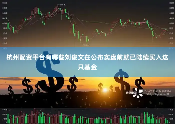 杭州配资平台有哪些刘俊文在公布实盘前就已陆续买入这只基金